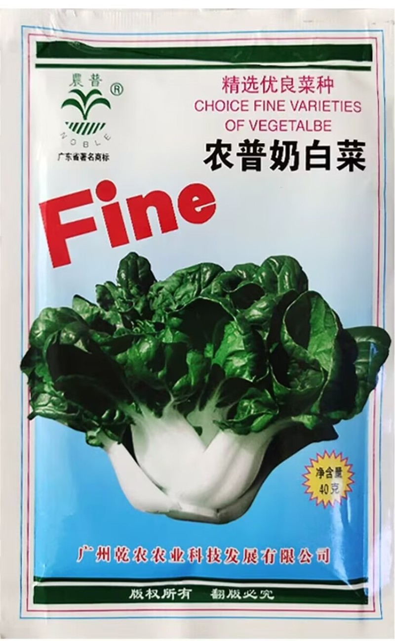 奶白菜种子四季速生奶油小白菜籽耐寒耐热盆栽矮脚白梗菜种子