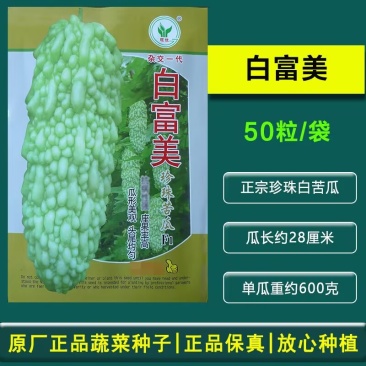 白富美珍珠苦瓜种子春秋四季基地正宗珍珠白苦瓜籽凉瓜菜籽种