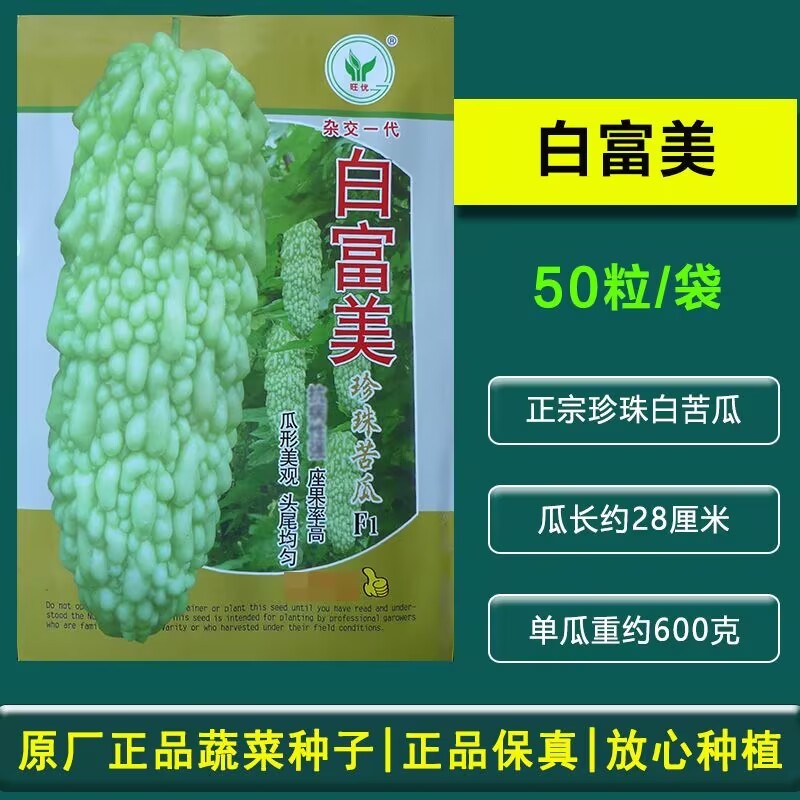 白富美珍珠苦瓜种子春秋四季基地正宗珍珠白苦瓜籽凉瓜菜籽种