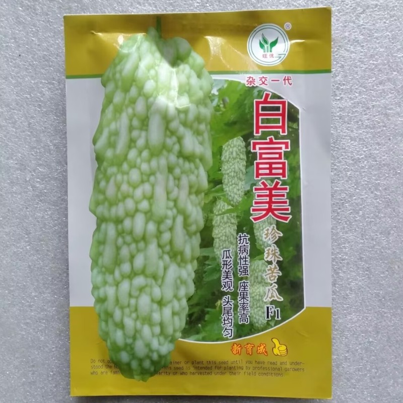 白富美珍珠苦瓜种子春秋四季基地正宗珍珠白苦瓜籽凉瓜菜籽种