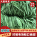 山西精品绿扁豆新鲜采摘供应商超档口量大从优欢迎来电洽谈