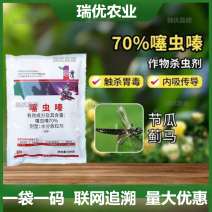 70%噻虫嗪-高含量杀虫剂果树蔬菜蚜虫蓟马稻飞虱粉虱蛴螬