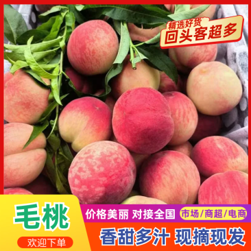 湖北精品毛桃春雪美佳突围红不软产地果农直销品质**