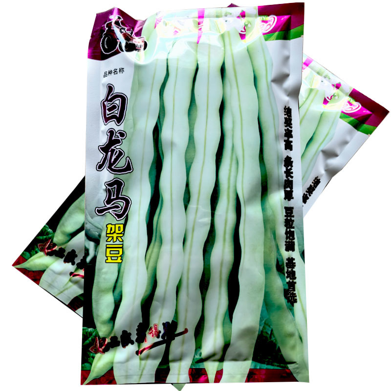 拖车头白龙马架豆芸豆种子200g春秋露地早熟架芸豆白籽结
