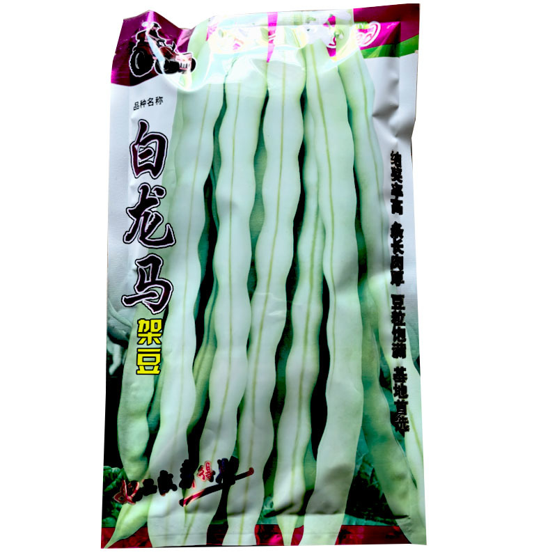 拖车头白龙马架豆芸豆种子200g春秋露地早熟架芸豆白籽结