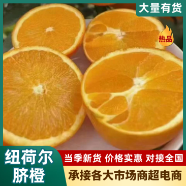 【精品】纽荷尔脐橙果农直销现采现发纯甜不酸对接全国