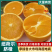【精品】纽荷尔脐橙果农直销现采现发纯甜不酸对接全国