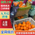 【精品】湖北脐橙九月红果冻橙皮毛好甜度高承接电商