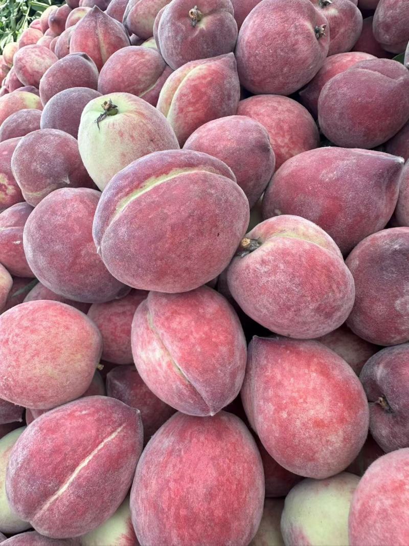 突围桃毛桃精品桃子🍑好吃不贵欢迎采购品质保障先到先得