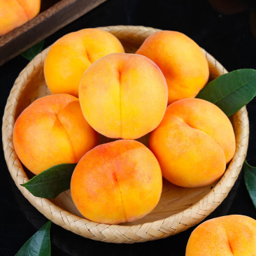 黄金密7号，精品桃子🍑现货上市，产地发货质量好可对接全国