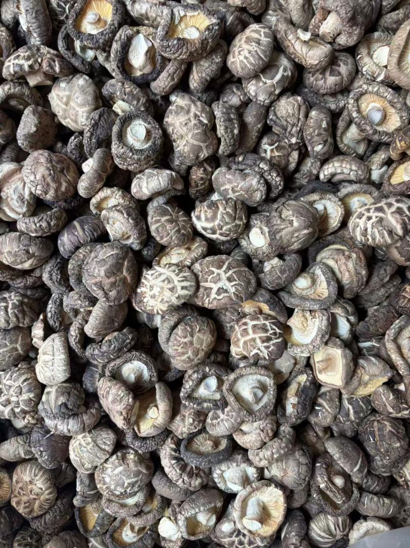 河南西峡干香菇精品花菇一手货源可零售可批发保质量