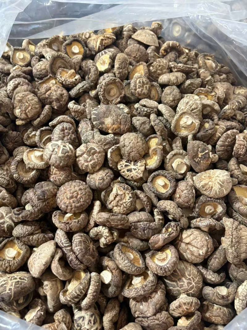 河南西峡干香菇精品花菇一手货源可零售可批发保质量