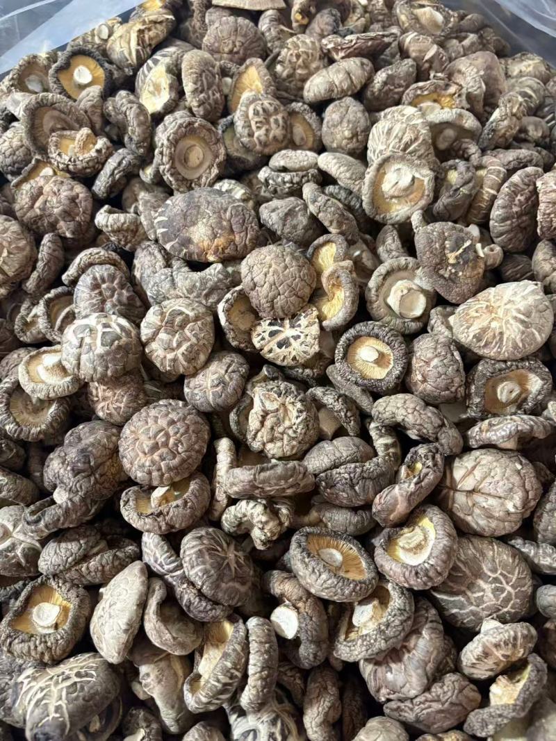 河南西峡干香菇精品花菇一手货源可零售可批发保质量