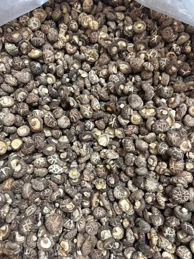 河南西峡干香菇精品花菇一手货源可零售可批发保质量