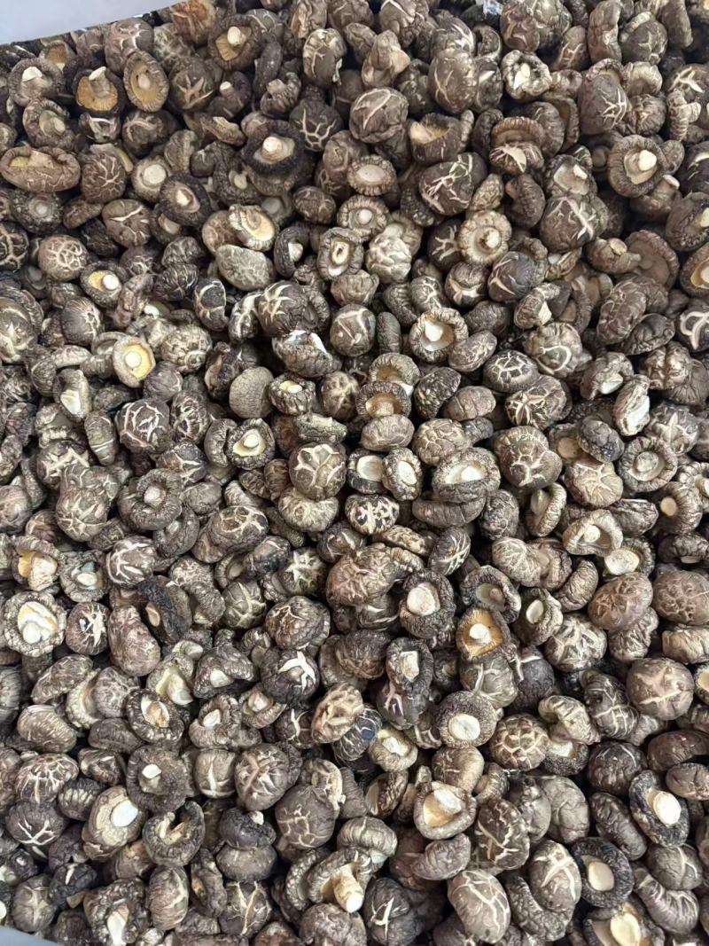 河南西峡干香菇精品花菇一手货源可零售可批发保质量