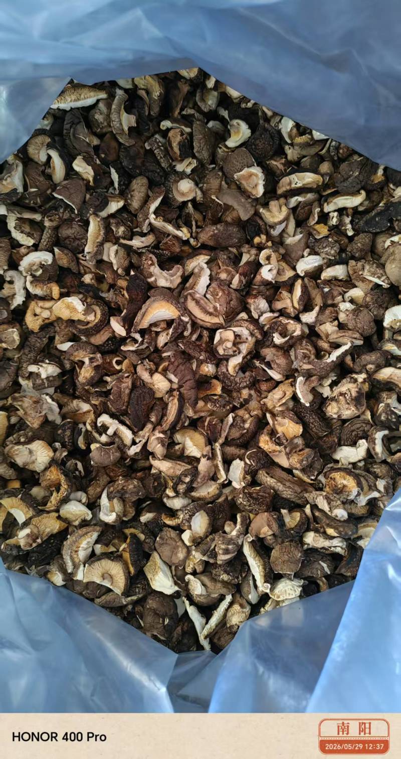 河南干香菇厚菇畸形菇小碎片大片规格全零售+批发