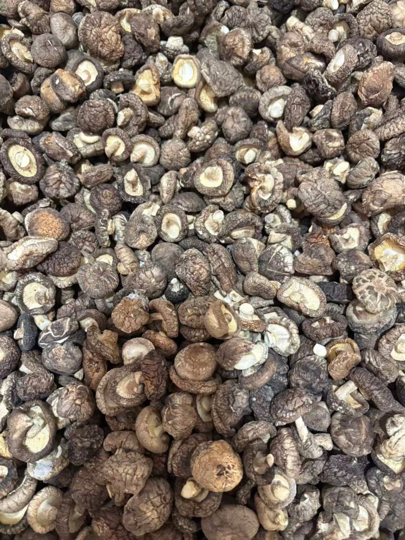 河南干香菇厚菇畸形菇小碎片大片规格全零售+批发
