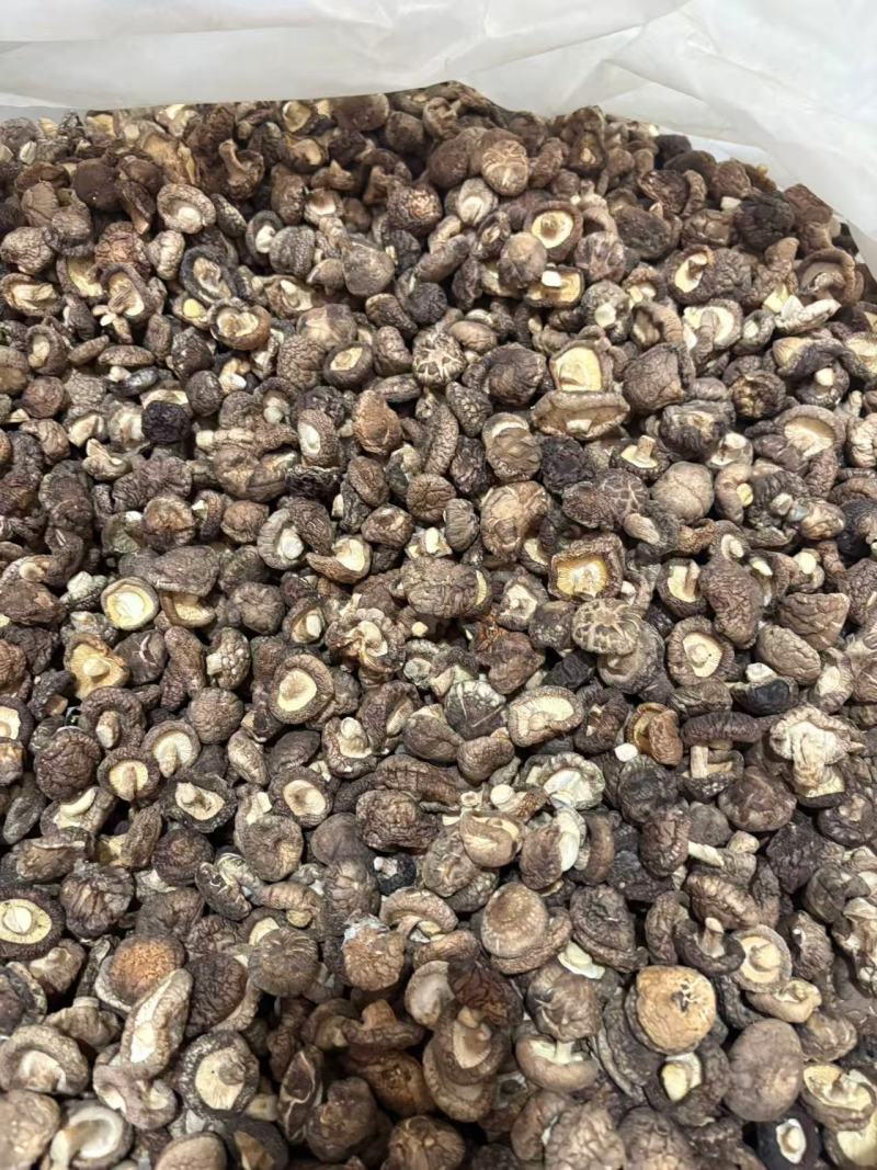 河南干香菇厚菇畸形菇小碎片大片规格全零售+批发