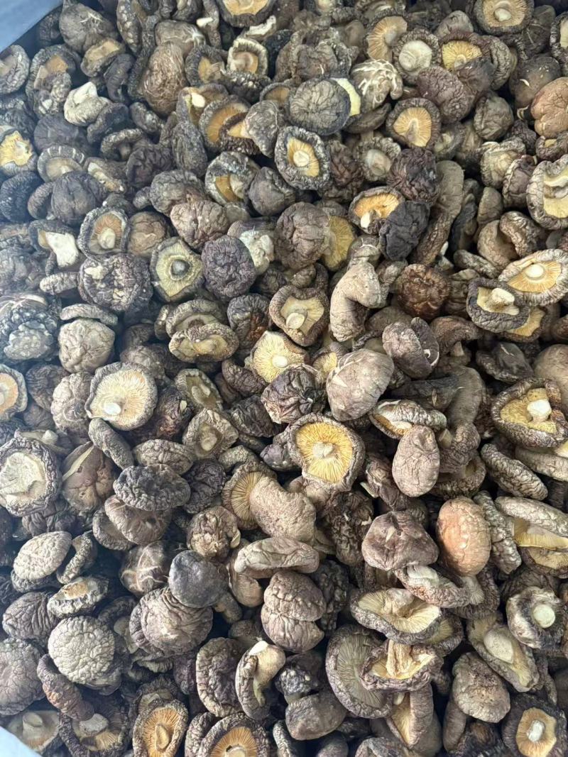 河南干香菇厚菇畸形菇小碎片大片规格全零售+批发