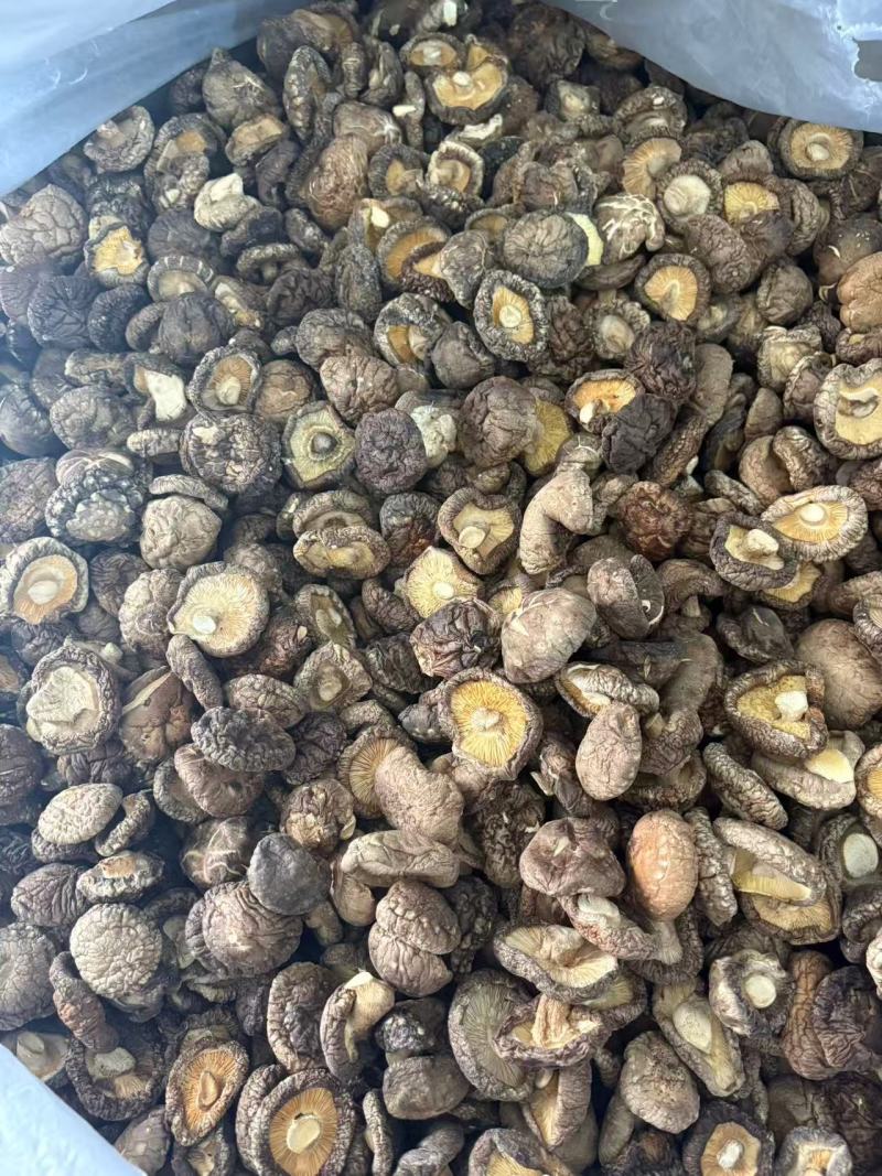 河南干香菇厚菇畸形菇小碎片大片规格全零售+批发