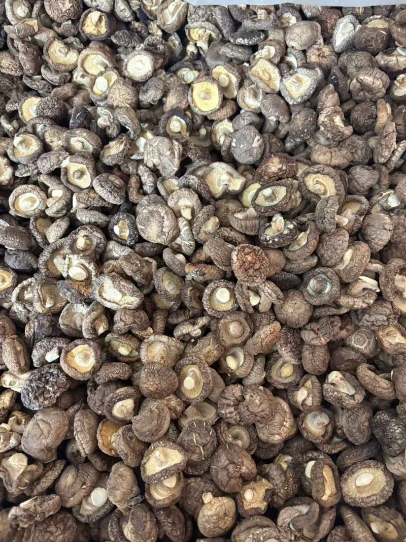 河南干香菇厚菇畸形菇小碎片大片规格全零售+批发