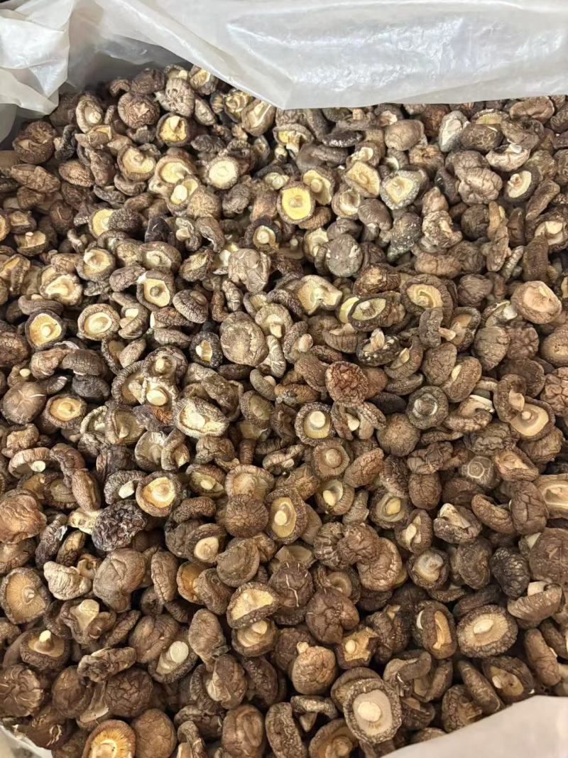 河南干香菇厚菇畸形菇小碎片大片规格全零售+批发