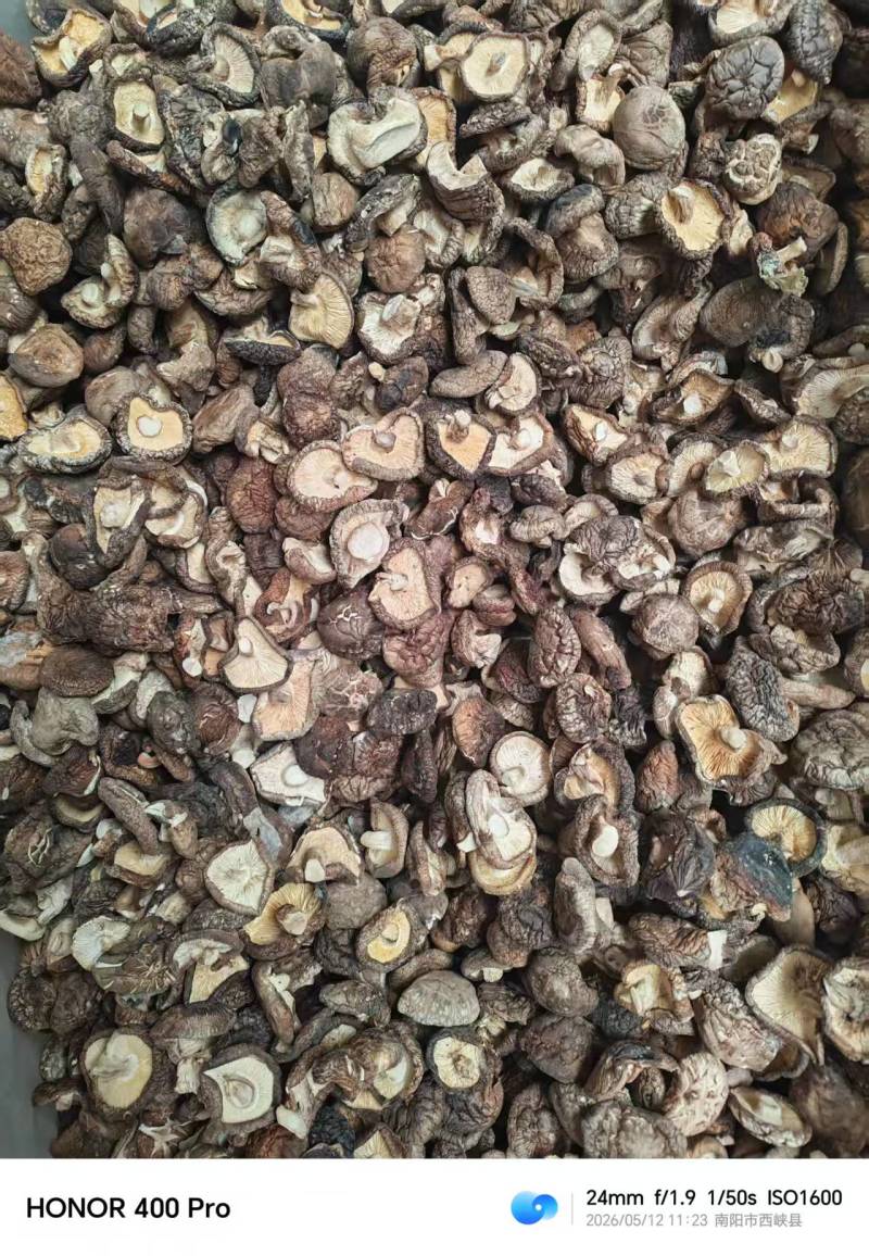 河南干香菇厚菇畸形菇小碎片大片规格全零售+批发