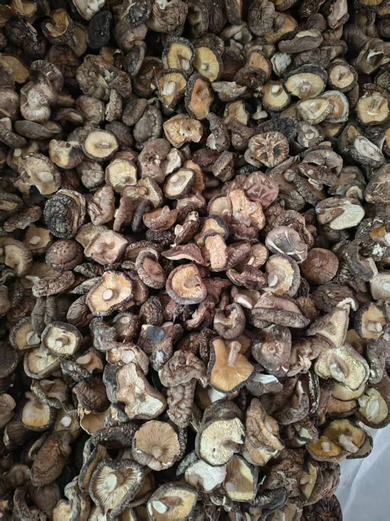河南干香菇厚菇畸形菇小碎片大片规格全零售+批发