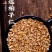 柏子仁柏子仁新货侧柏子无硫大货泡水精选柏批发零售假一赔十
