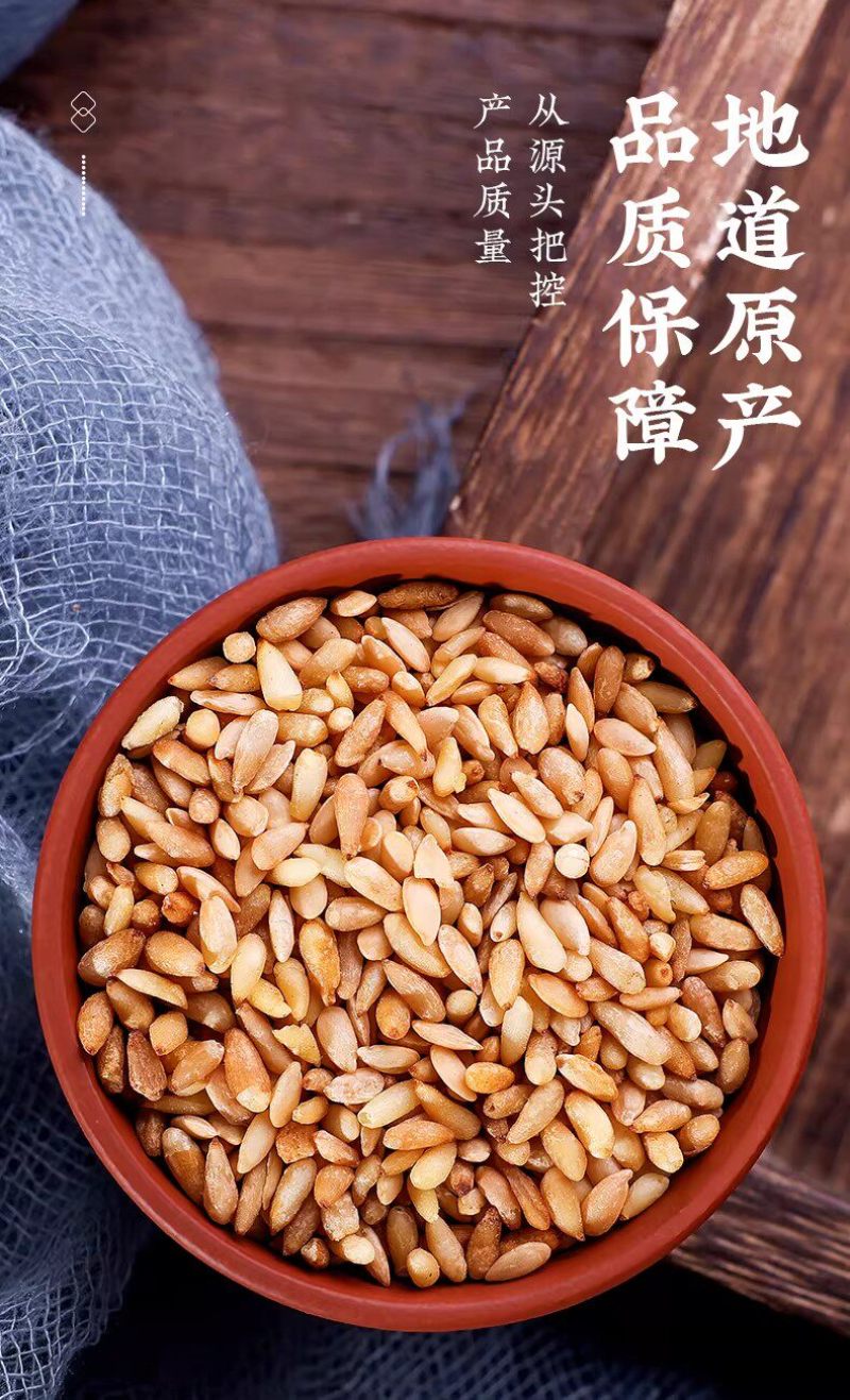 柏子仁柏子仁新货侧柏子无硫大货泡水精选柏批发零售假一赔十