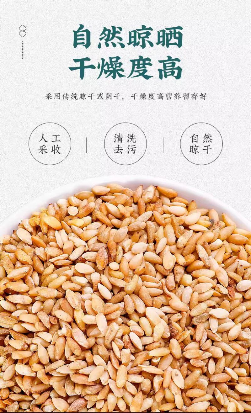 柏子仁柏子仁新货侧柏子无硫大货泡水精选柏批发零售假一赔十