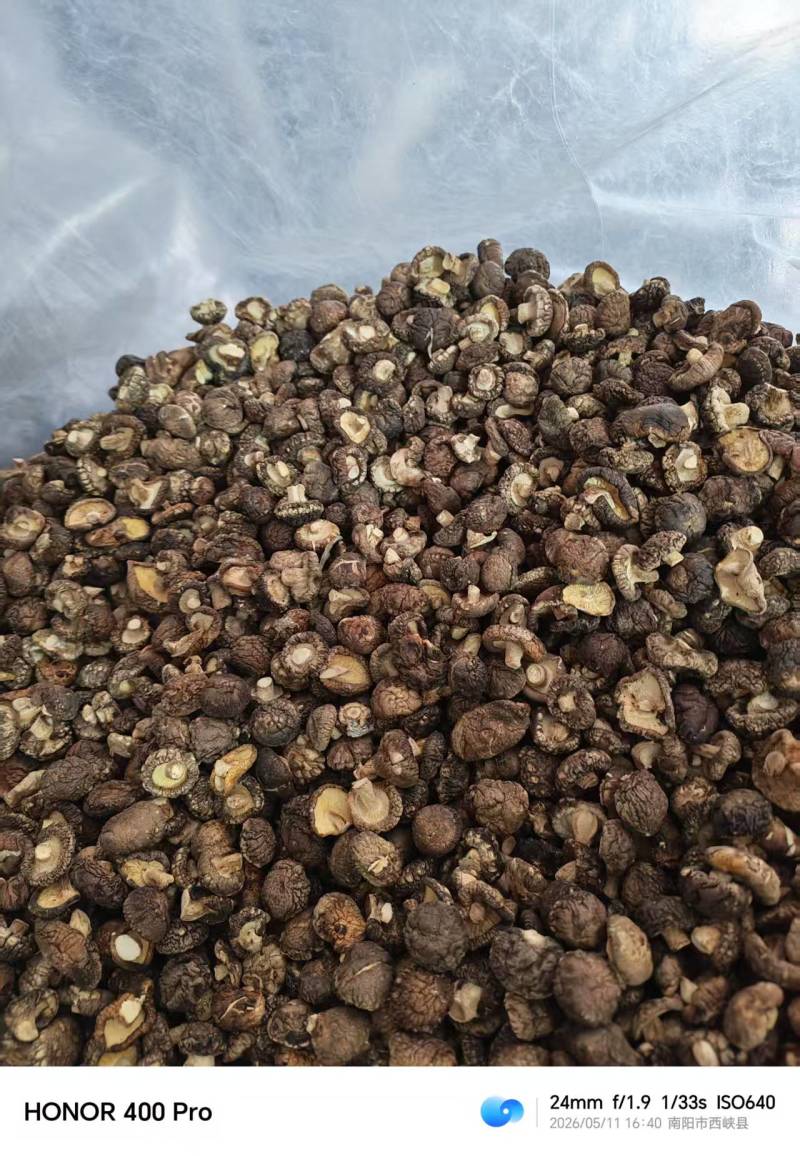 精品干香菇光面菇一手货源全国发货可视频看货