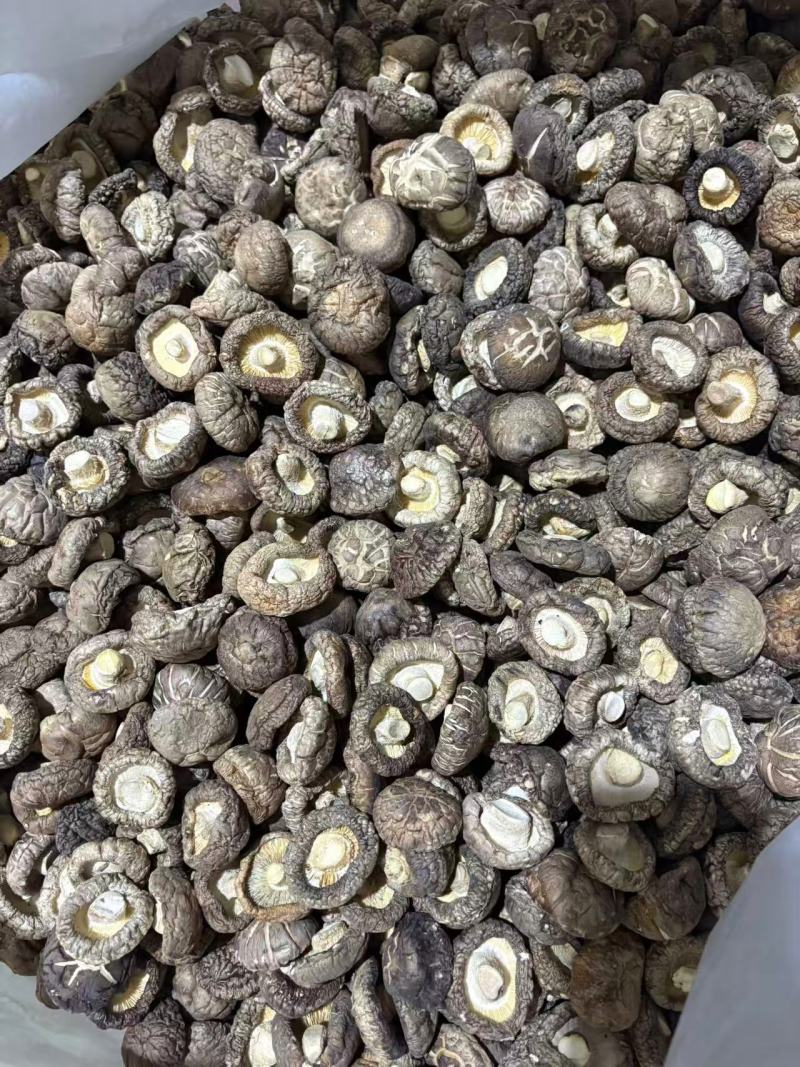 精品干香菇光面菇一手货源全国发货可视频看货