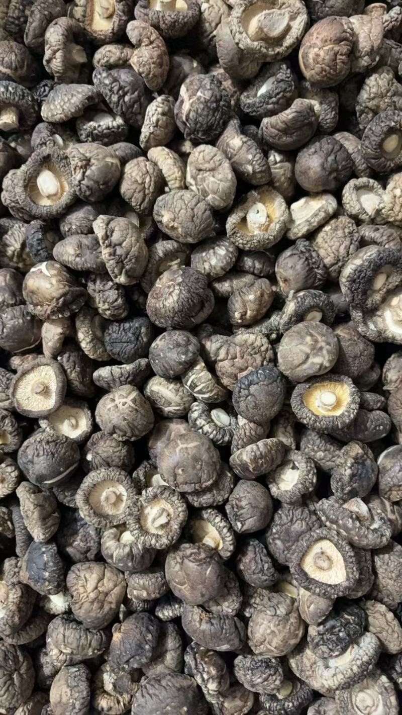 精品干香菇光面菇一手货源全国发货可视频看货