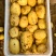 推荐陕西土豆黄心土豆V7货源充足价格实惠实力代发全国