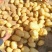 推荐陕西土豆黄心土豆V7货源充足价格实惠实力代发全国