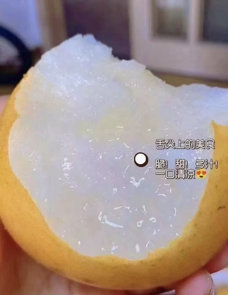 秋月梨精品梨🍐产地直发量大从优可视频看货对接全国客商