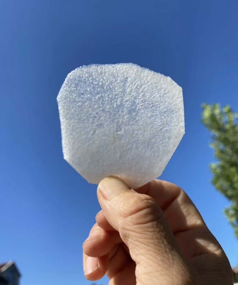 秋月梨精品梨🍐产地直发量大从优可视频看货对接全国客商
