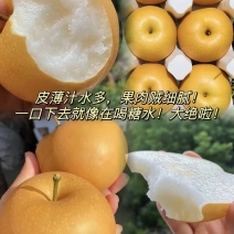 【实力推荐】秋月梨🍐自家种植品质保障可视频看货对接全国