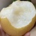 【实力推荐】秋月梨🍐自家种植品质保障可视频看货对接全国