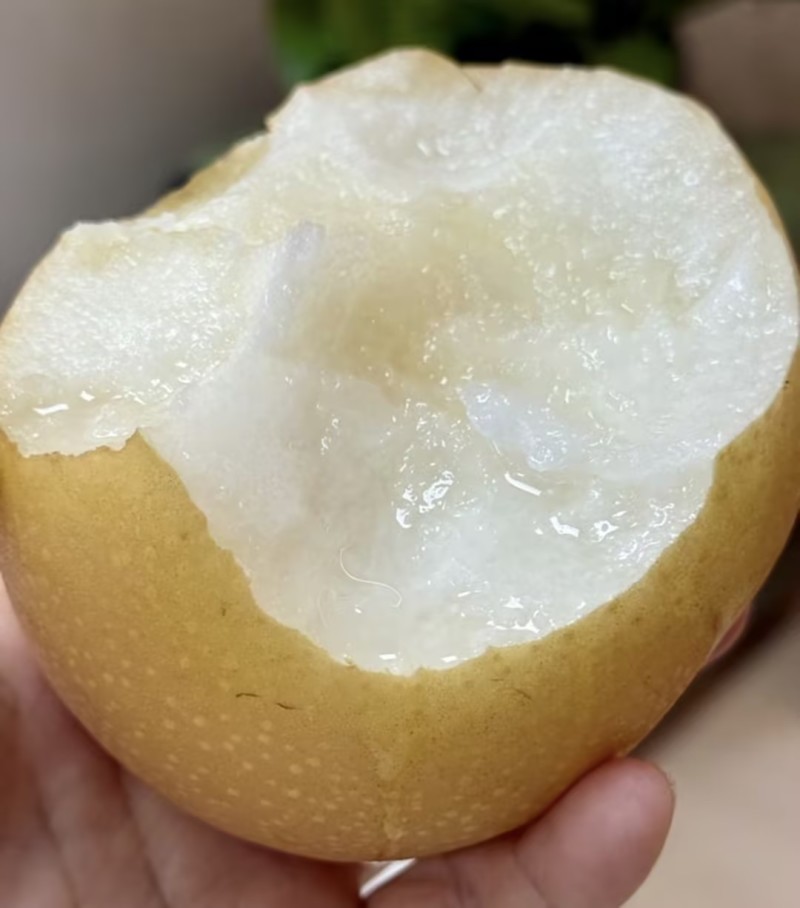 【实力推荐】秋月梨🍐自家种植品质保障可视频看货对接全国