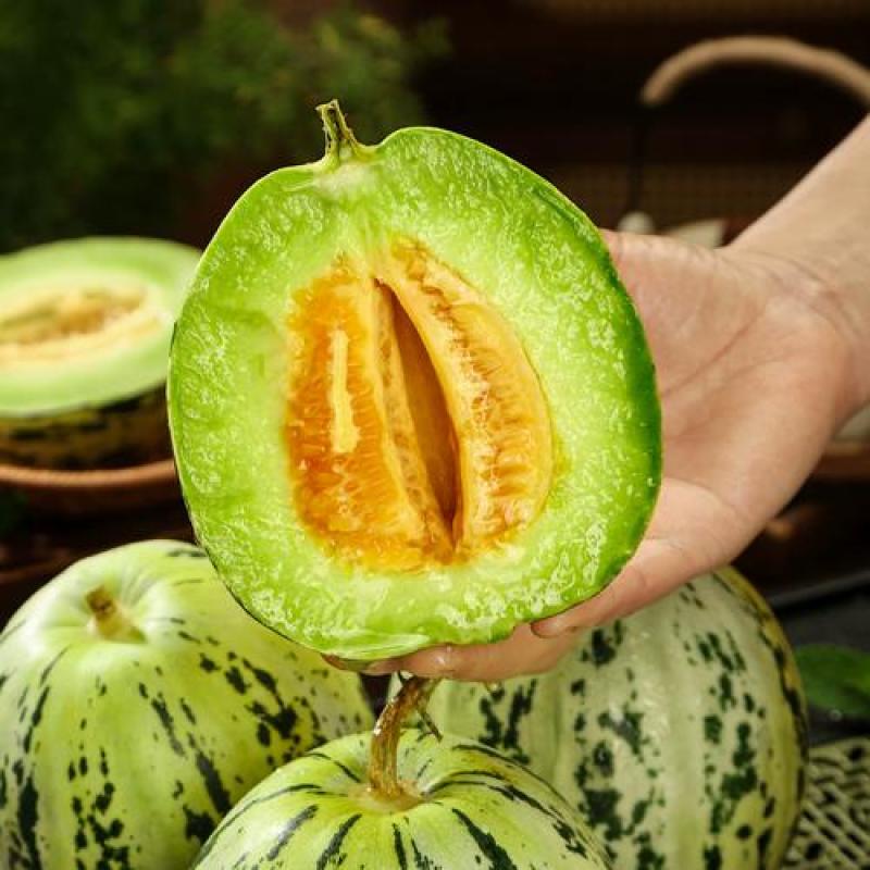 河北青县精品花蕾甜瓜羊角蜜等欢迎全国客户联系