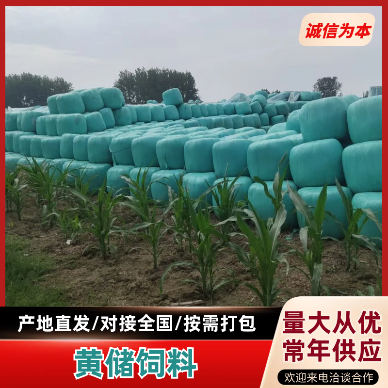 安徽青储黄储玉米秸秆，牛羊饲料，服务周到，欢迎电话联系
