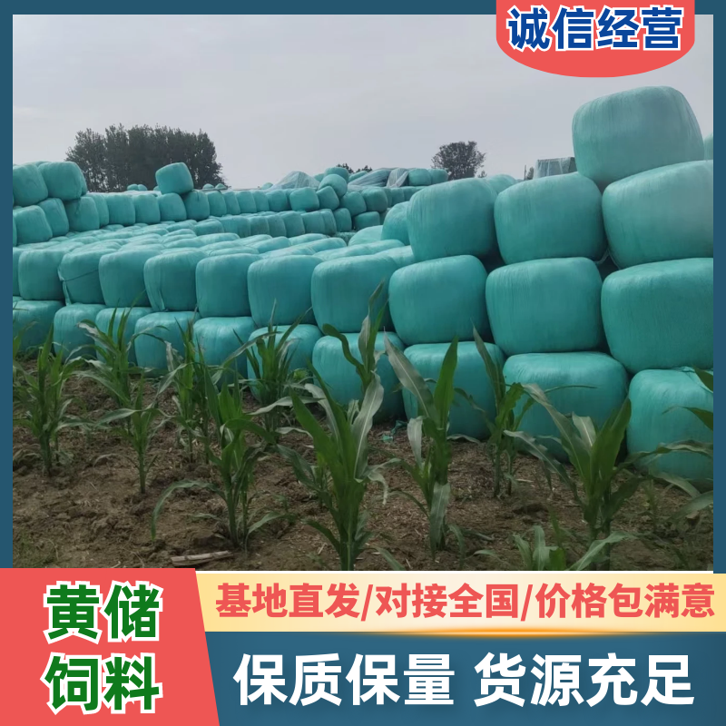 安徽青储黄储玉米秸秆，牛羊饲料，服务周到，欢迎电话联系