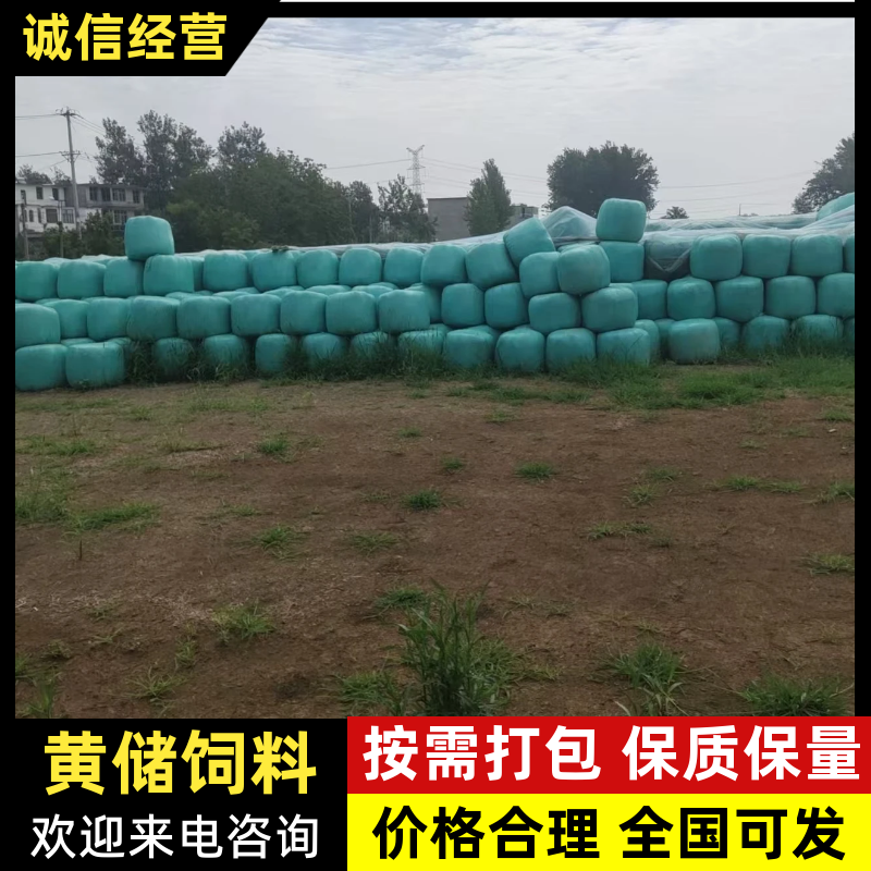 安徽阜阳黄储饲料，量大从优欢迎选购