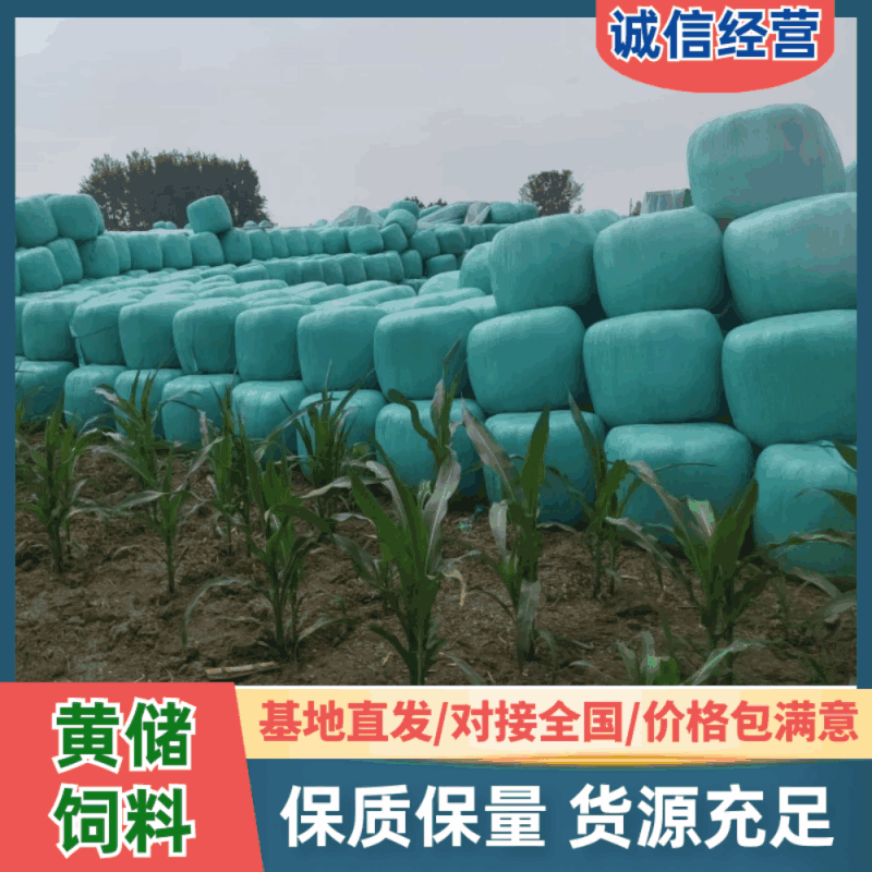 安徽阜阳黄储饲料，量大从优欢迎选购