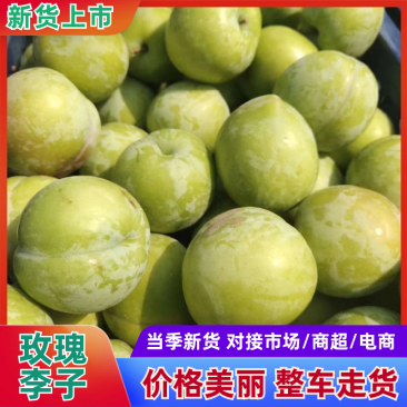 玫瑰李精品李子风味品类齐全产地直发量大从优可对接全国