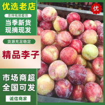 李子雪花李产地直发量大从优好吃不贵欢迎采购先到先得