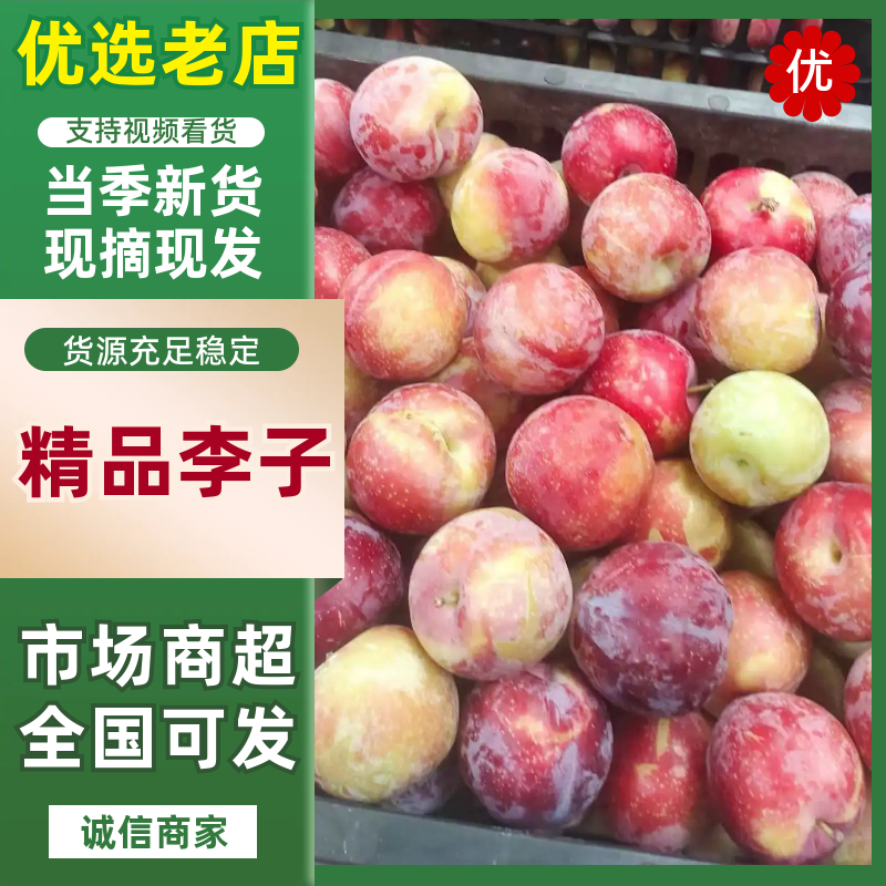 李子雪花李产地直发量大从优好吃不贵欢迎采购先到先得