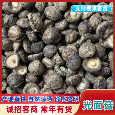 精品干香菇光面菇一手货源全国发货可视频看货